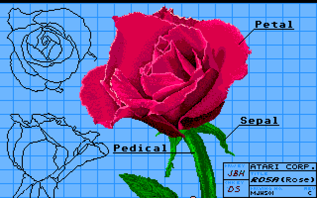 Rose – NEOchrome Demo Image, an Atari Image by Atari Corp.