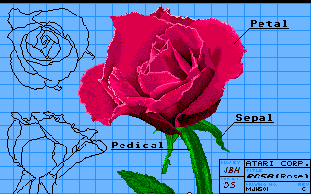Rose  NEOchrome Demo Image, an Atari Image by Atari Corp.