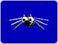 Free Bee