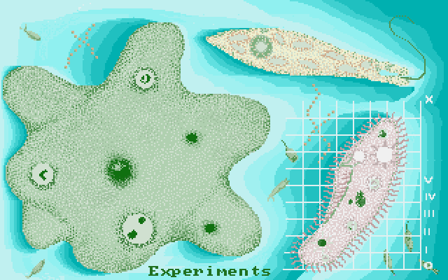 Amoeba, an Amiga Image by Commodore