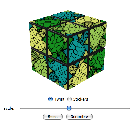 Turtle Cube