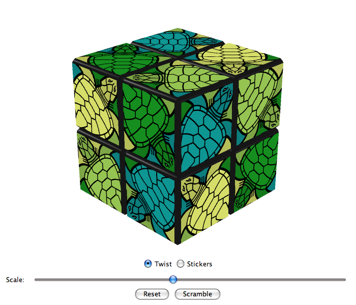 Turtle Cube